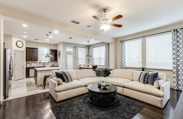 17411 Brachetto photos photos