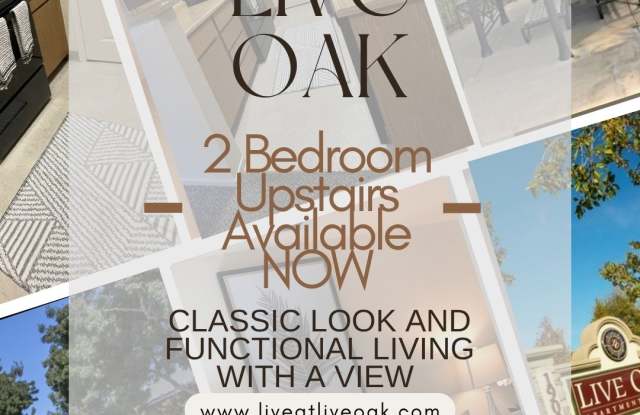 Live Oak Gallery 1