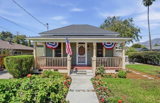 Primrose Gallery 1