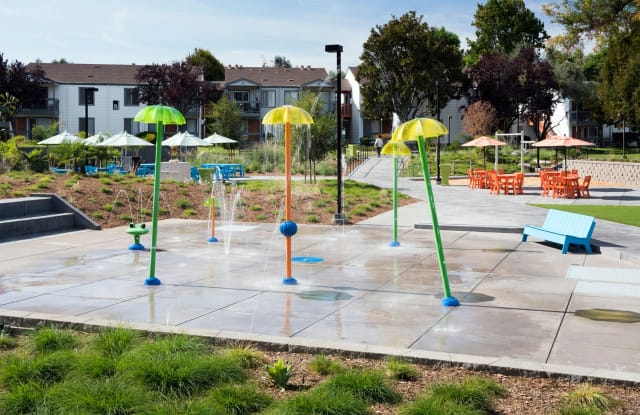 Park Kiely photos photos