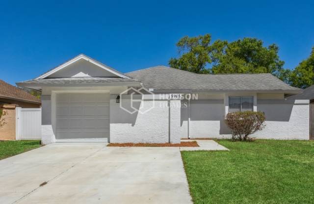 5905 Birchwood Drive - 5905 Birchwood Drive, Citrus Park, FL 33625