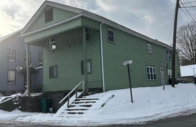 100 Richardson Avenue - 100 Richardson Avenue, Pike County, PA 18458