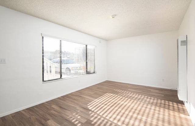 2 WEEKS FREE!!! Spacious 1BR in Great Ocean Beach/Point Loma Area! Gallery 2