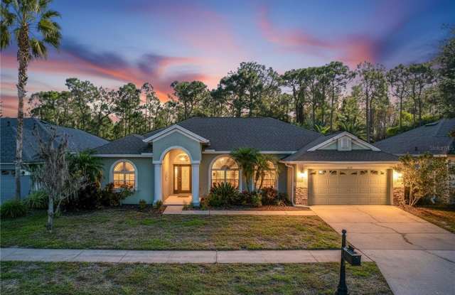 14639 CORAL BERRY DRIVE - 14639 Coral Berry Drive, Keystone, FL 33626