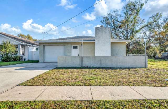 Gorgeous 3BD/2BTH Remodeled South Tampa Home - 3818 West Iowa Avenue, Tampa, FL 33616