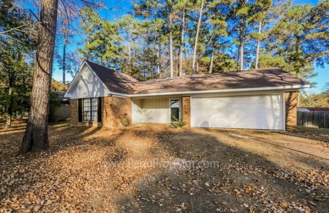 151 Plum Tree Road - 151 Plum Tree Road, Rankin County, MS 39047