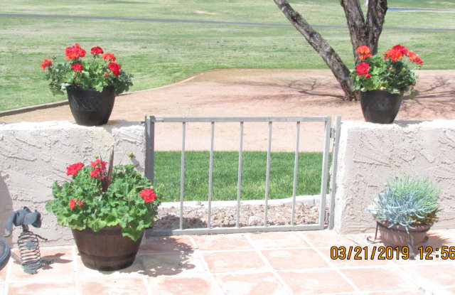 7304 N VIA CAMELLO DEL NORTE -- Gallery 4