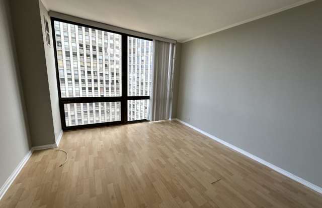 2650 N Lakeview Ave, Unit 1304, Chicago, IL 60614 Gallery 2