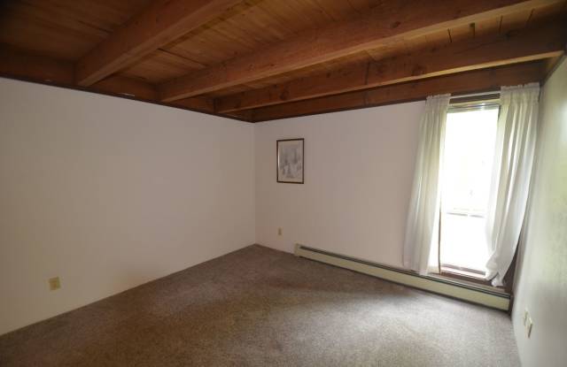 Treehouse condo! Utilities included! New kitchen! photos photos
