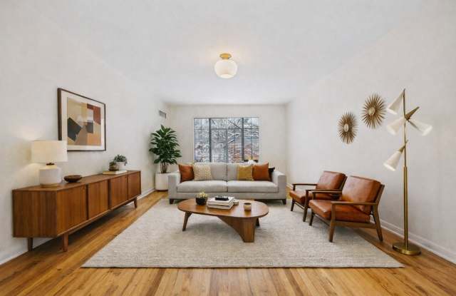 Gorgeous apartment near Cheesman Park! photos photos