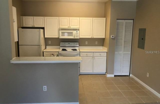 14217 FALLS CHURCH DRIVE - 14217 Falls Church Drive, Hunters Creek, FL 32837