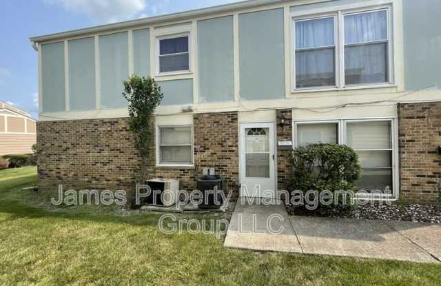 20119 Ash Lane # 54 - 20119 Ash Lane, Lynwood, IL 60411