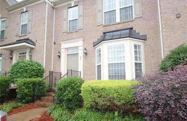 391 Armour Street - 391 Armour Street, Davidson, NC 28036