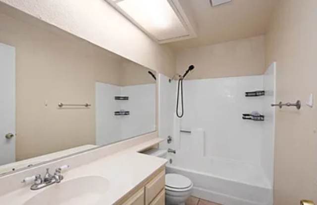 22582 Scarlet Sage Way Gallery 3