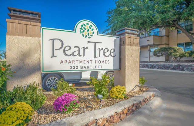 Pear Tree photos photos