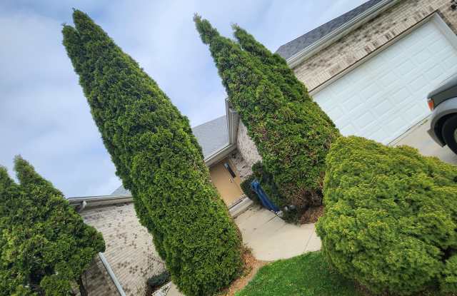 10859 Park Street photos photos