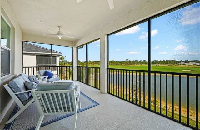 15935 Grassland photos photos
