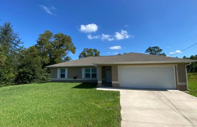 Spacious 3BR/2BA Single Family Home in Ocklawaha! photos photos