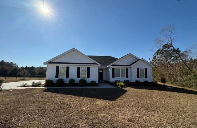307 W. Leyland Ct. - 307 West Leyland Court, Bulloch County, GA 30458
