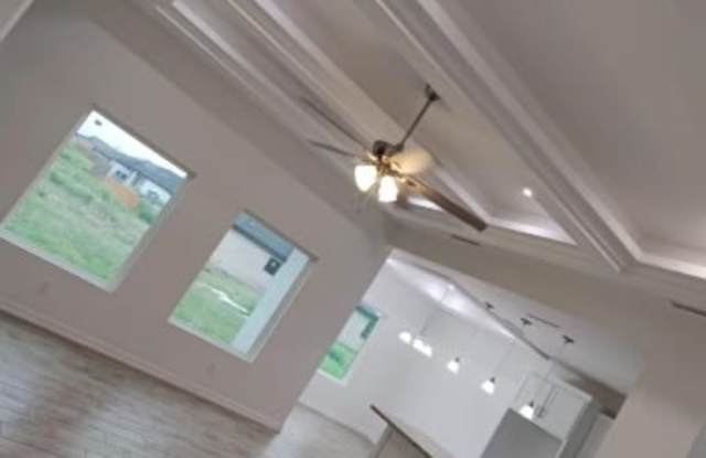 486 Frambuesa Gallery 3