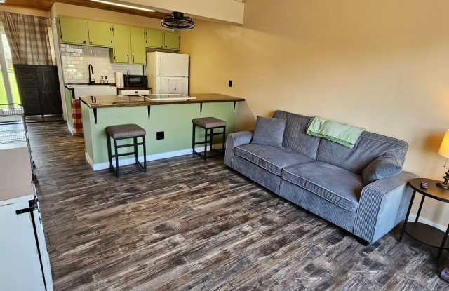 Fully Furnished, All Utilities Included, Dog Friendly 1 Bed 1 Bath Available Now! photos photos