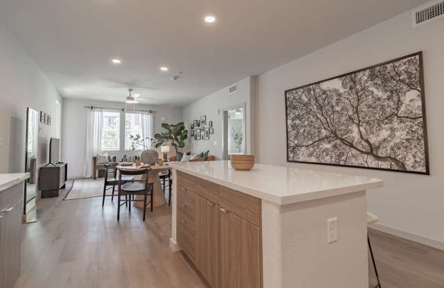SoCo Apartments Gallery 4