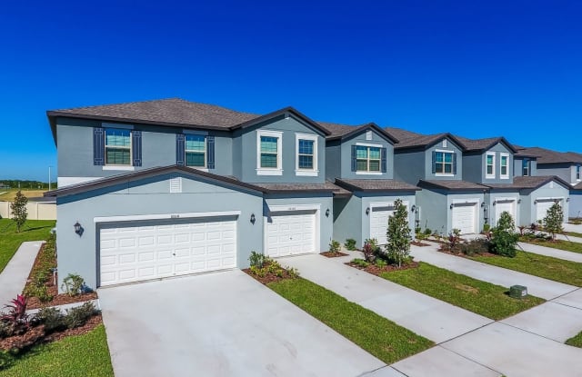 14258 Riva Ridge Place - 14258 Riva Ridge Pl, Apollo Beach, FL 33573