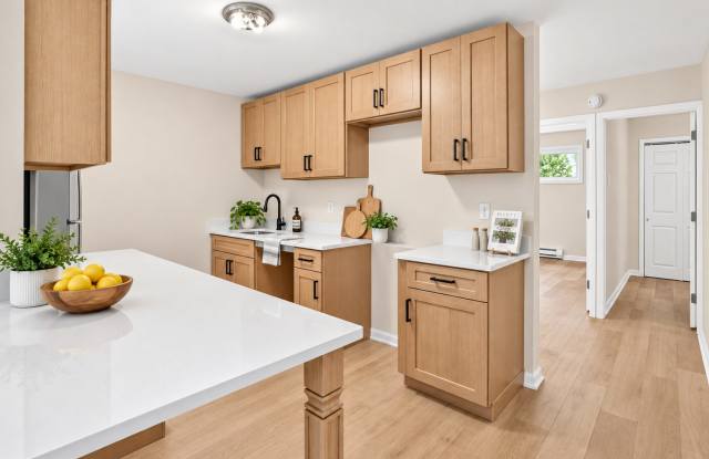 Renovated 2BR in Runnemede | Parking + W/D Hookups Gallery 4