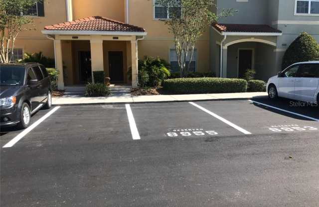 8955 MAJESTY PALM ROAD Gallery 2