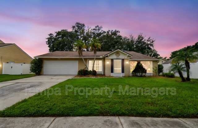 16214 Pebblebrook Dr - 16214 Pebblebrook Drive, Northdale, FL 33624