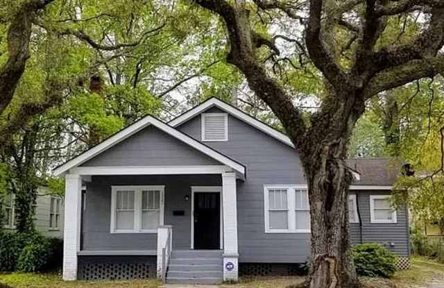 Large 3BR/2BA Downtown Home Walking Distance to Daffin Park photos photos