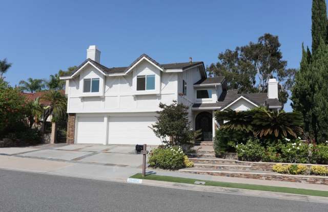Furnished in Laguna Niguel photos photos