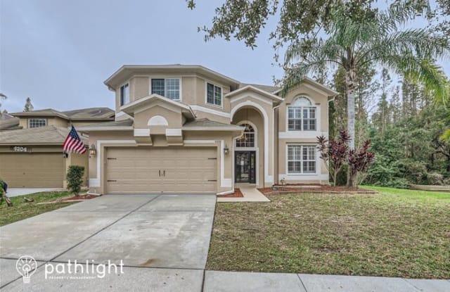 4206 Fishermans Lake Drive - 4206 Fishermans Lake Drive, Cheval, FL 33558