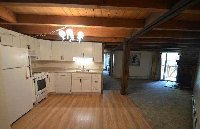 THE UNICORN: A 6 month lease at a 12 month rate. 2 Bedroom Treehouse condo! Utilities included! New kitchen! photos photos