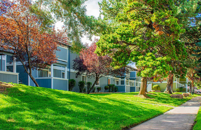 Village of the Pines photos photos