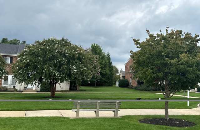 412 Dawson Gallery 2
