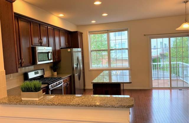 43210 LOUDOUN RESERVE DRIVE Gallery 2