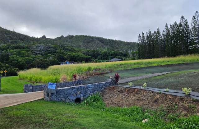 Brand New 2-bedroom Home in Wailuku Country Estate photos photos