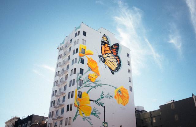 455 Hyde Gallery 4
