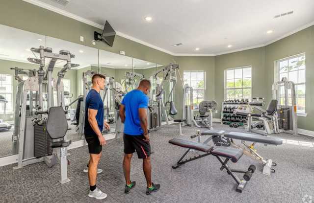 Belmere Luxury Apartments Gallery 3