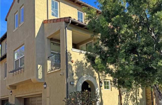 41 Gingerwood photos photos