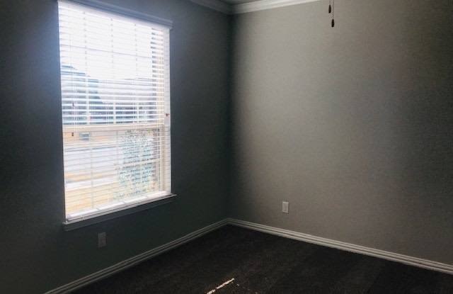 2829 Driftwood Creek Trl Gallery 3