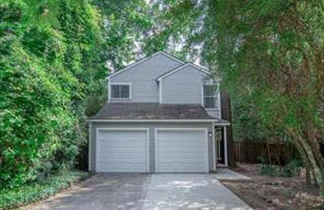 31 Breezy Point Place - 31 Breezy Point Place, The Woodlands, TX 77381