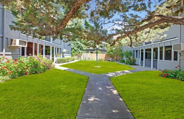 The Chloe Apartments photos photos