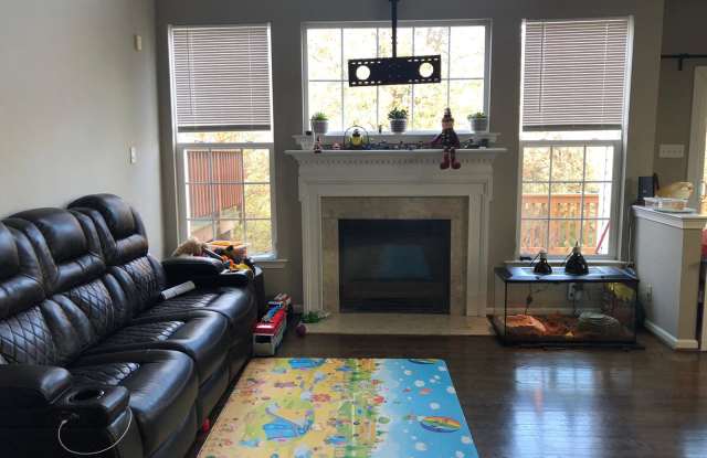 237 BIRCHWOOD DRIVE Gallery 3