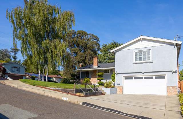 Amazing 4 bedroom home in one of Castro Valley's most desirable neighborhoods.  Owned solar! photos photos