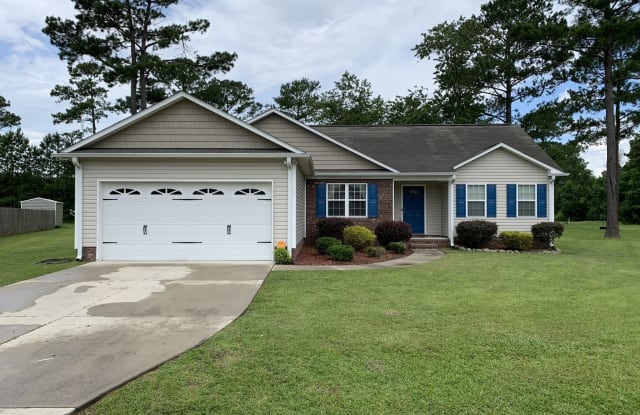 203 Rock Cavern Court - 203 Rock Cavern Court, Onslow County, NC 28574