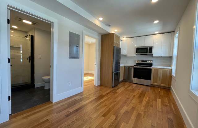 Brand New renovation 1Bed/1Bath in Bay Village (Downtown), Boston available for move-in photos photos