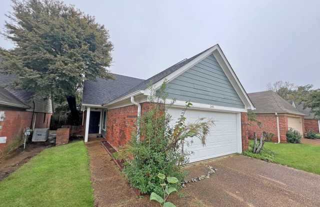 243 Gaslight Cv - 243 Gaslight Cove, Hernando, MS 38632