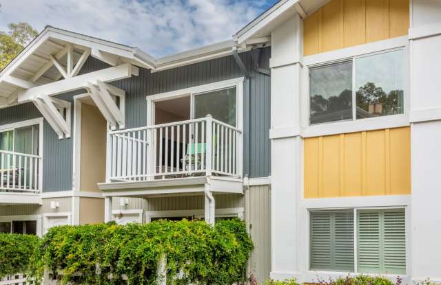 2Bd/1Ba Clean Condo near Sunny Cove! ( Co-signors now accepted!) photos photos